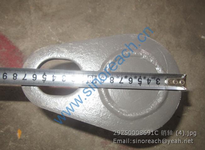 29250008691C 销轴 (4)