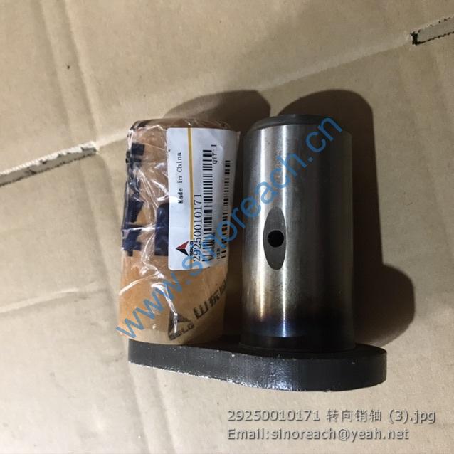 29250010171 转向销轴 (3)