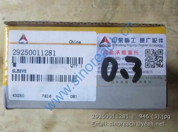 29250011281 套 946 (5)