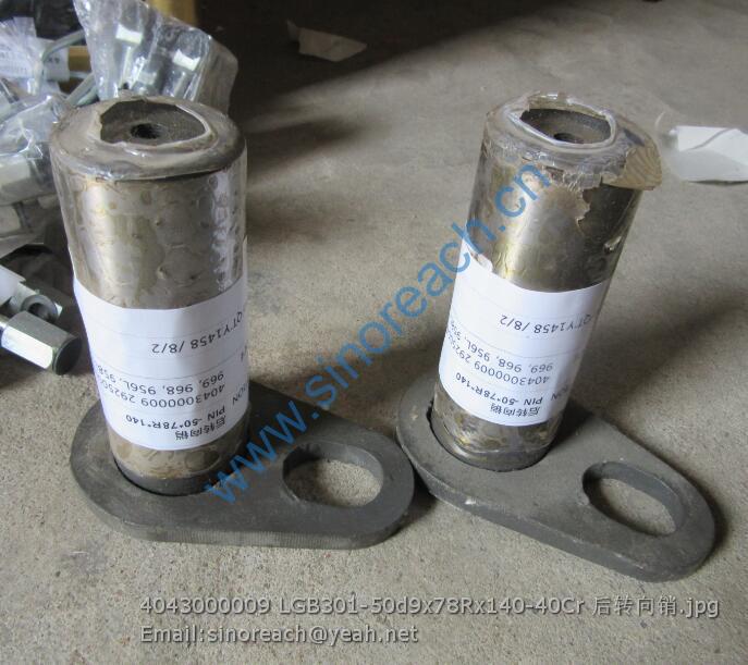 4043000009 LGB301-50d9x78Rx140-40Cr 后转向销