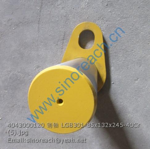 4043000120 销轴 LGB301-85x132x245-40Cr (5)
