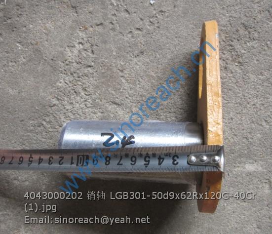 4043000202 销轴 LGB301-50d9x62Rx120G-40Cr (1)