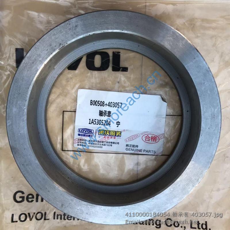 4110000184054 轴承套 403057