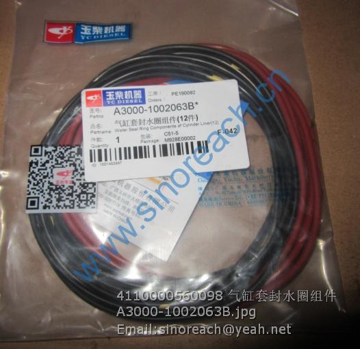 4110000560098 气缸套封水圈组件 A3000-1002063B
