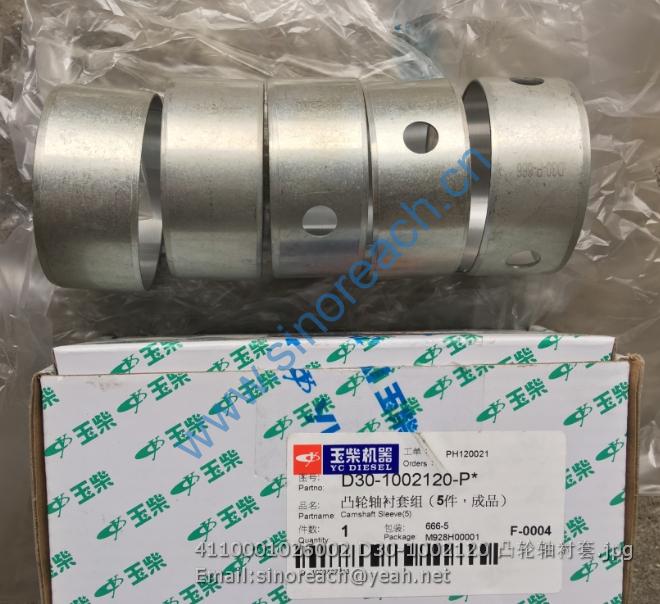 4110001026002 D30-1002120 凸轮轴衬套