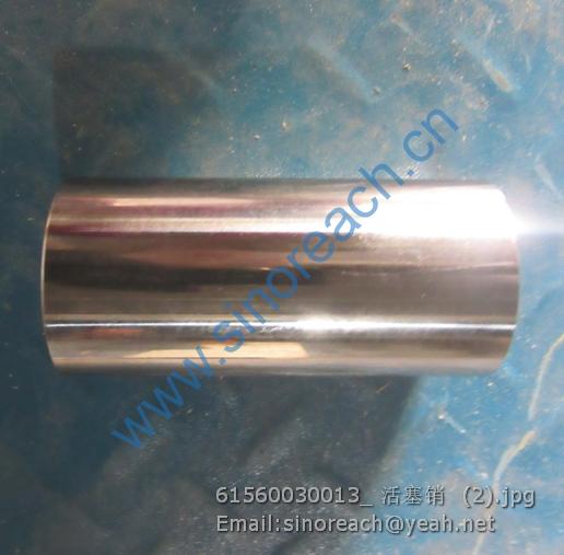 61560030013_ 活塞销 (2)