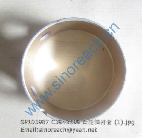 SP105987 C3943199 凸轮轴衬套 (1)