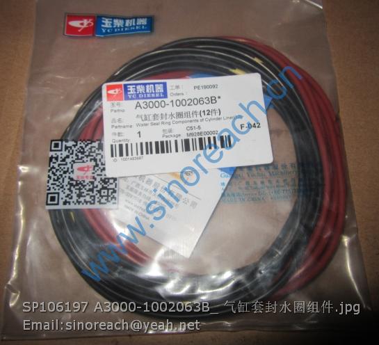 SP106197 A3000-1002063B_ 气缸套封水圈组件
