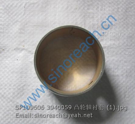 SP109606 3940059 凸轮轴衬套 (1)
