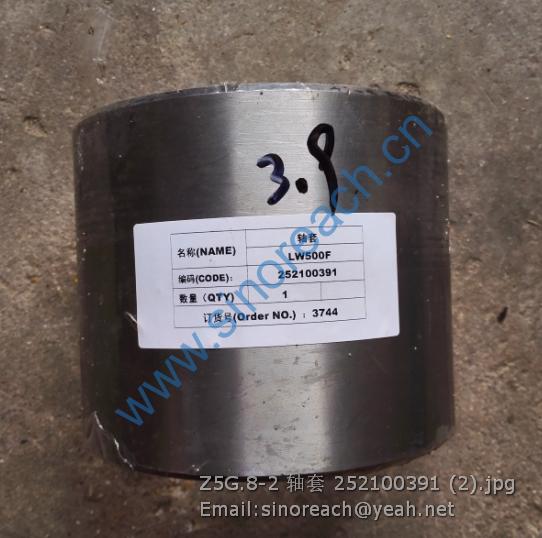 Z5G.8-2 轴套 252100391 (2)