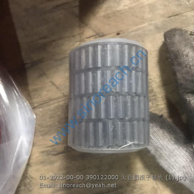 01-3922-00-00 390122000 无套圆滚子轴承 (1)