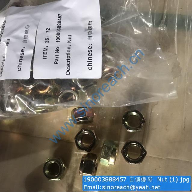 190003888457 自锁螺母 Nut (1)