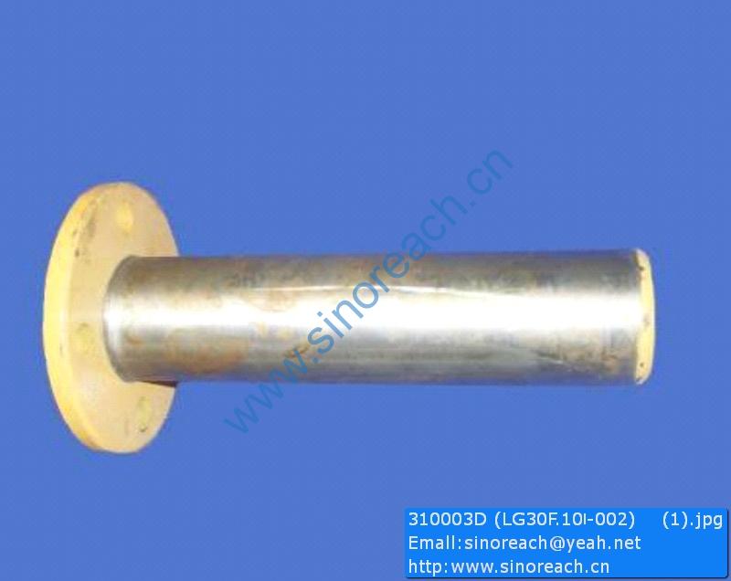 310003D (LG30F.10Ⅰ-002) (1)