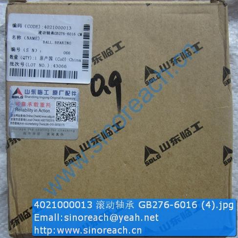 4021000013 滚动轴承 GB276-6016 (4)