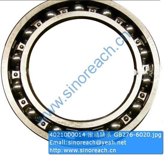 4021000014 滚动轴承 GB276-6020