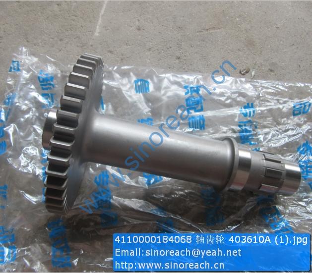 4110000184068 轴齿轮 403610A (1)