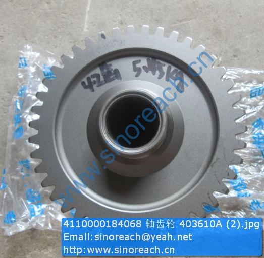 4110000184068 轴齿轮 403610A (2)