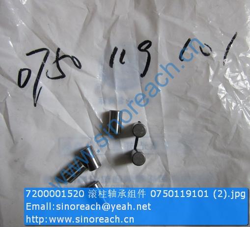 7200001520 滚柱轴承组件 0750119101 (2)