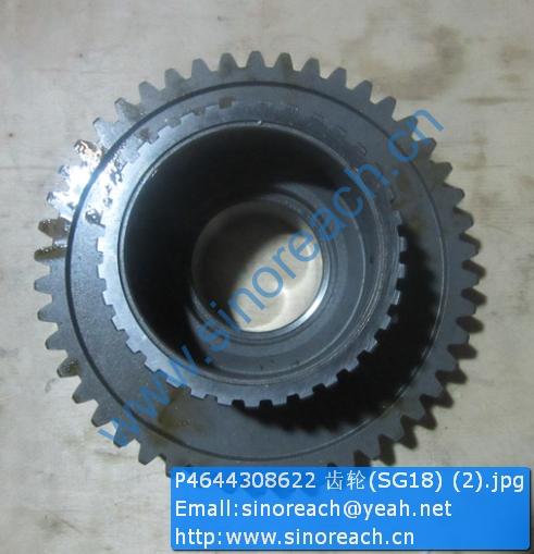 P4644308622 齿轮(SG18) (2)