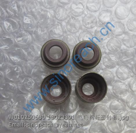 W010250680 13023391 气门阀杆密封套