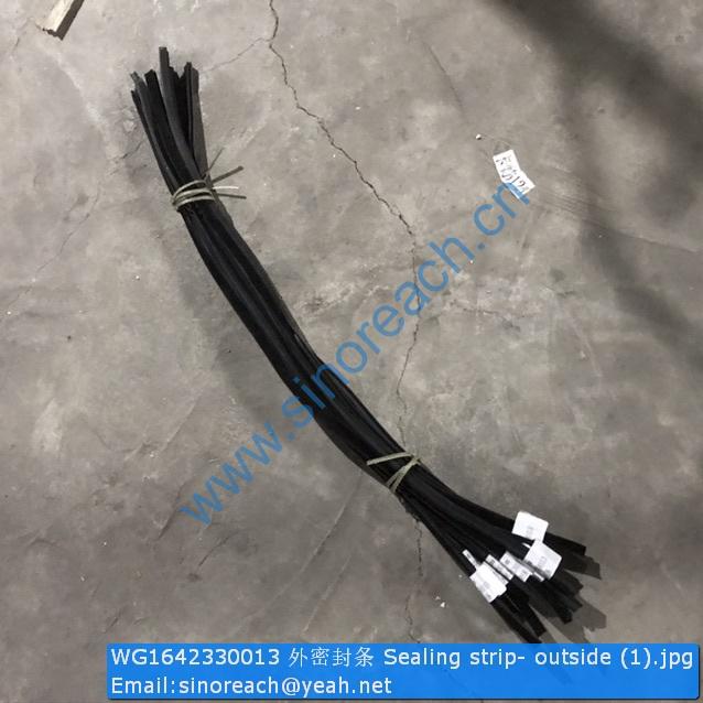 WG1642330013 外密封条 Sealing strip- outside (1)