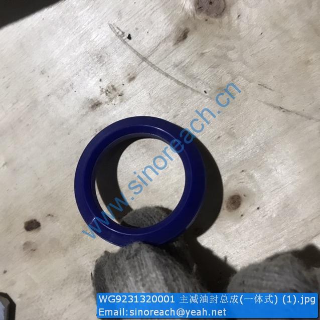 WG9231320001 主减油封总成(一体式) (1)