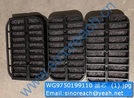 WG9750199110 滤芯 (1)