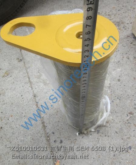 Z510010531 摇臂主销 SEM 650B (1)