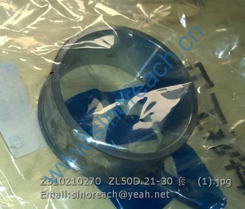 Z510210270 ZL50D.21-30 套 (1)