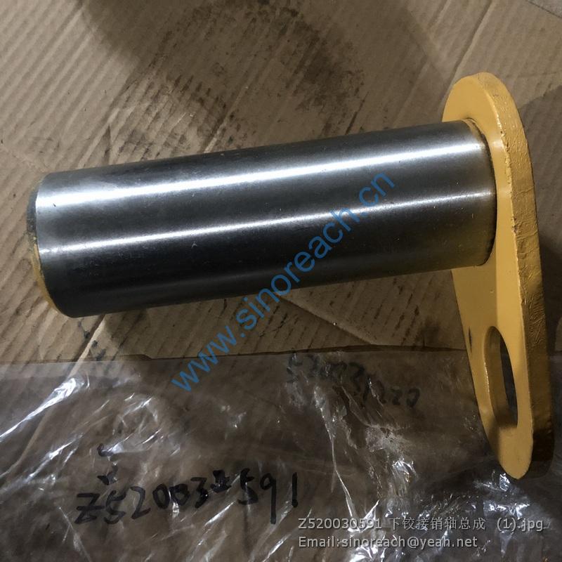 Z520030591 下铰接销轴总成 (1)