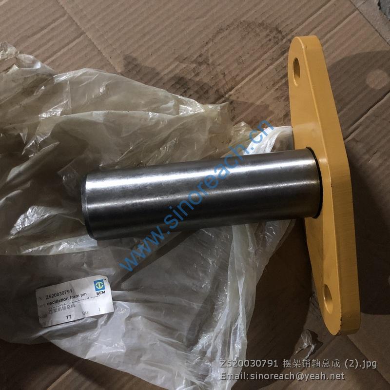 Z520030791 摆架销轴总成 (2)