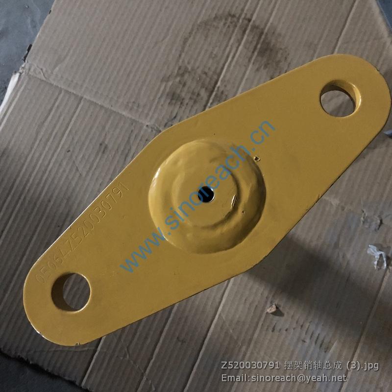 Z520030791 摆架销轴总成 (3)