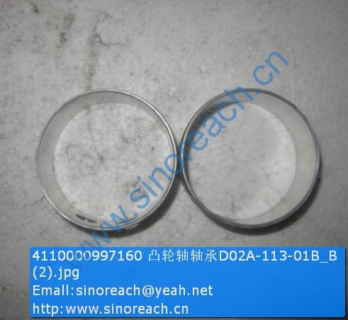 4110000997160 凸轮轴轴承D02A-113-01B_B (2)