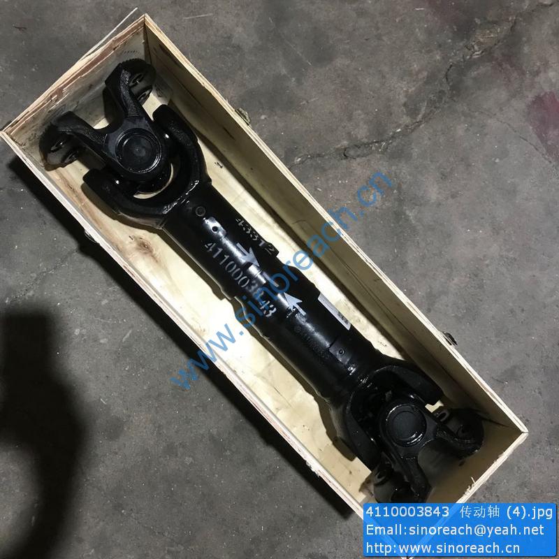 4110003843 传动轴 (4)