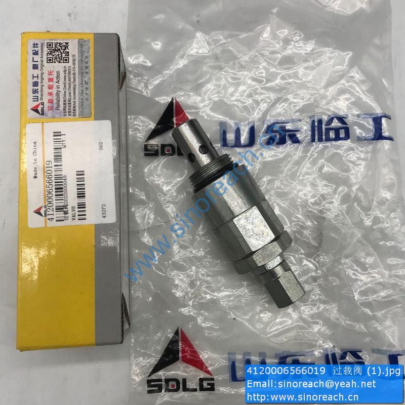 4120006566019 过载阀 (1)
