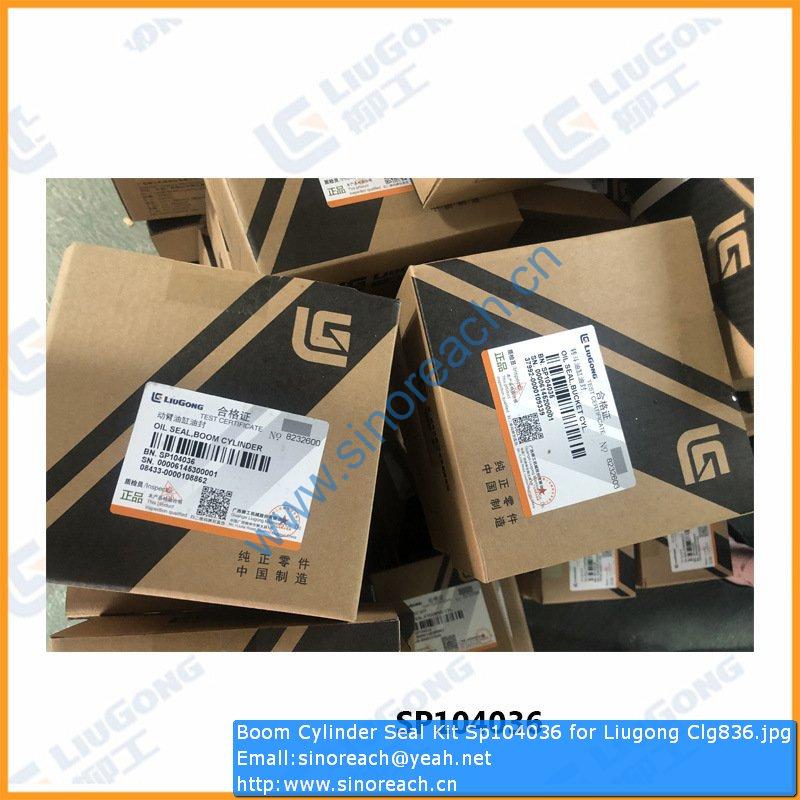 Boom Cylinder Seal Kit Sp104036 for Liugong Clg836