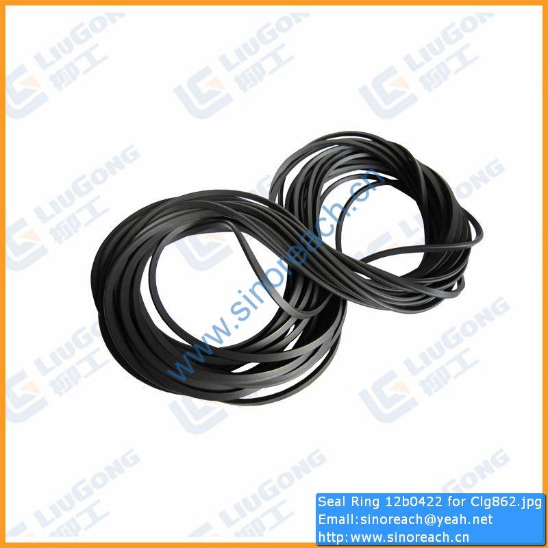 Seal Ring 12b0422 for Clg862