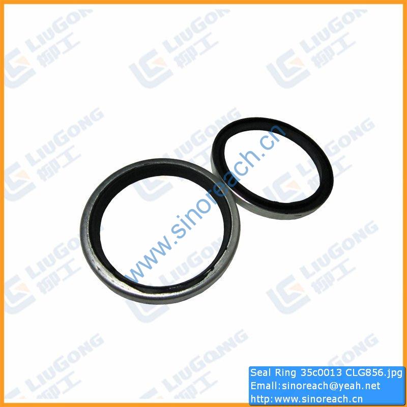 Seal Ring 35c0013 CLG856