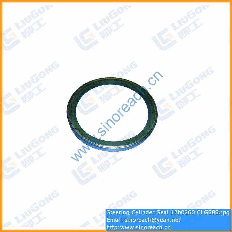 Steering Cylinder Seal 12b0260 CLG888
