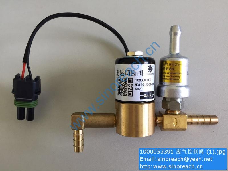 1000053391 废气控制阀 (1)