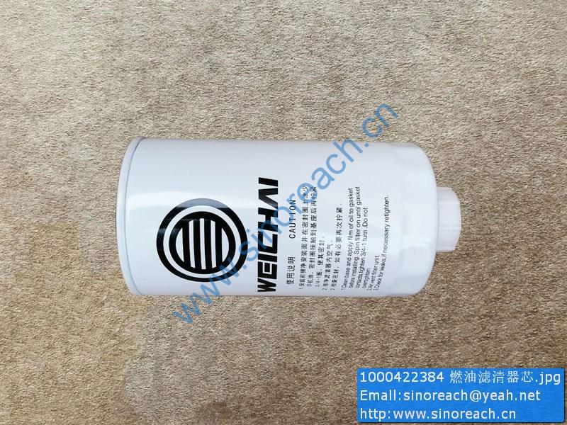 1000422384 燃油滤清器芯