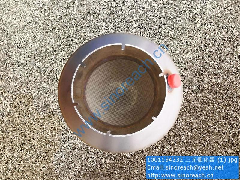 1001134232 三元催化器 (1)