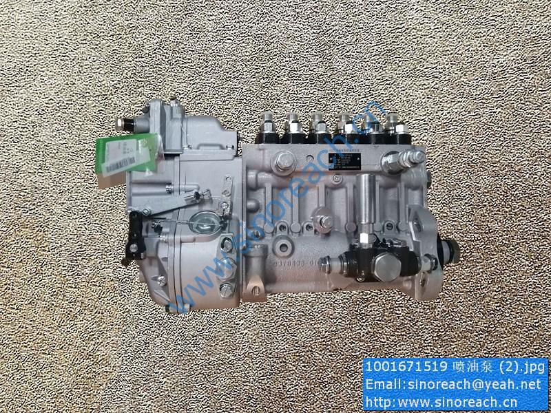 1001671519 喷油泵 (2)