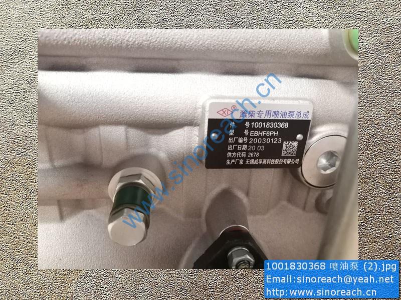 1001830368 喷油泵 (2)