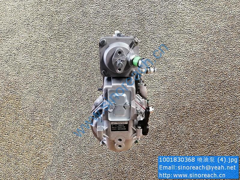 1001830368 喷油泵 (4)