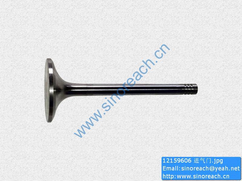 12159606 进气门