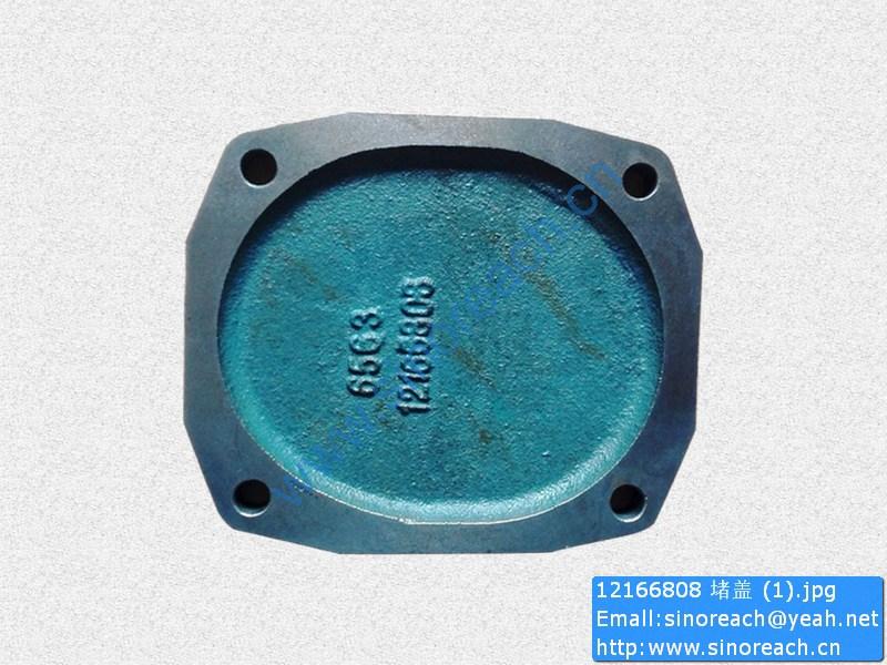 12166808 堵盖 (1)
