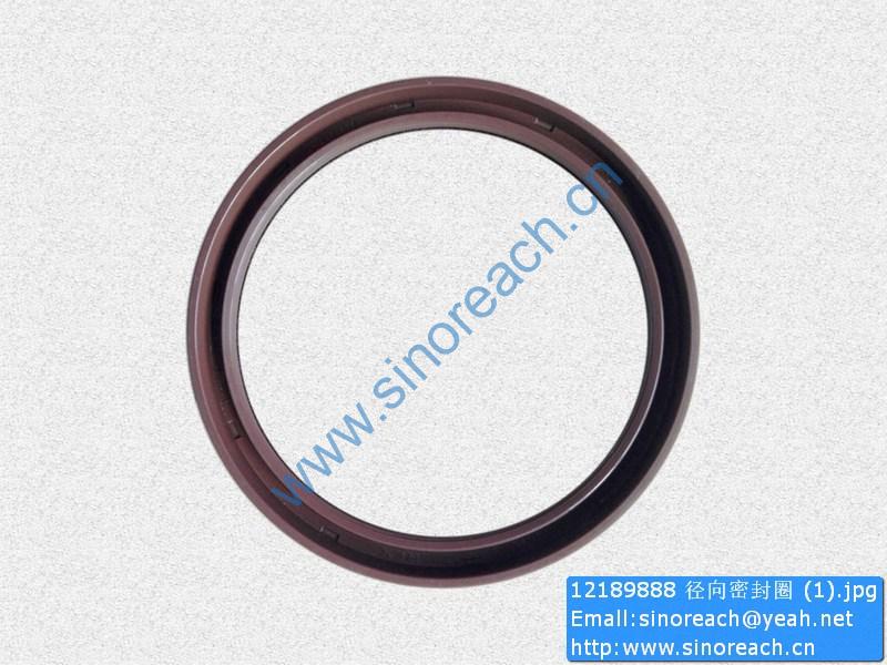 12189888 径向密封圈 (1)