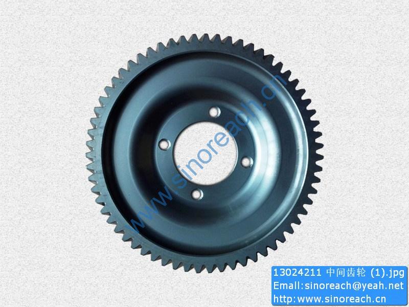 13024211 中间齿轮 (1)