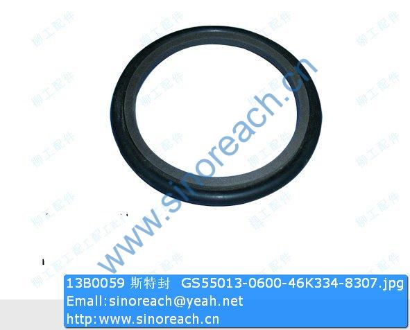 13B0059 斯特封 GS55013-0600-46K334-8307